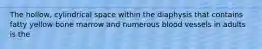 The hollow, cylindrical space within the diaphysis that contains fatty yellow bone marrow and numerous blood vessels in adults is the