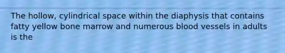 The hollow, cylindrical space within the diaphysis that contains fatty yellow bone marrow and numerous blood vessels in adults is the