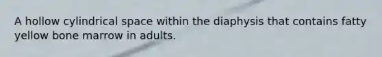 A hollow cylindrical space within the diaphysis that contains fatty yellow bone marrow in adults.