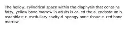 The hollow, cylindrical space within the diaphysis that contains fatty, yellow bone marrow in adults is called the a. endosteum b. osteoblast c. medullary cavity d. spongy bone tissue e. red bone marrow