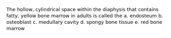 The hollow, cylindrical space within the diaphysis that contains fatty, yellow bone marrow in adults is called the a. endosteum b. osteoblast c. medullary cavity d. spongy bone tissue e. red bone marrow