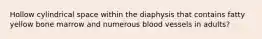 Hollow cylindrical space within the diaphysis that contains fatty yellow bone marrow and numerous blood vessels in adults?