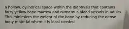 a hollow, cylindrical space within the diaphysis that contains fatty yellow bone marrow and numerous blood vessels in adults. This minimizes the weight of the bone by reducing the dense bony material where it is least needed