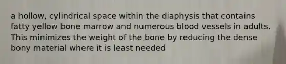 a hollow, cylindrical space within the diaphysis that contains fatty yellow bone marrow and numerous blood vessels in adults. This minimizes the weight of the bone by reducing the dense bony material where it is least needed