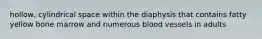 hollow, cylindrical space within the diaphysis that contains fatty yellow bone marrow and numerous blood vessels in adults