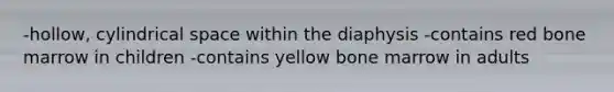 -hollow, cylindrical space within the diaphysis -contains red bone marrow in children -contains yellow bone marrow in adults