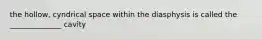 the hollow, cyndrical space within the diasphysis is called the ______________ cavity