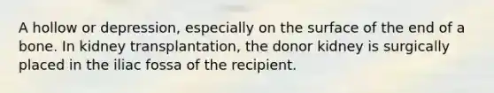 A hollow or depression, especially on the surface of the end of a bone. In kidney transplantation, the donor kidney is surgically placed in the iliac fossa of the recipient.