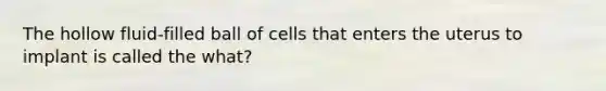 The hollow fluid-filled ball of cells that enters the uterus to implant is called the what?