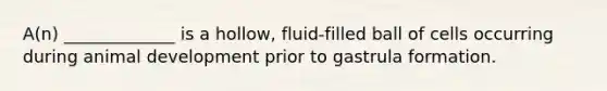 A(n) _____________ is a hollow, fluid-filled ball of cells occurring during animal development prior to gastrula formation.