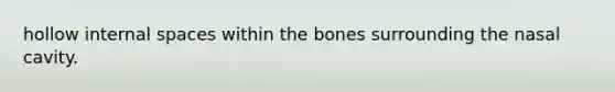 hollow internal spaces within the bones surrounding the nasal cavity.