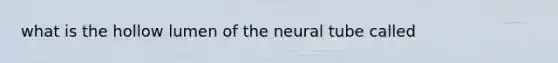 what is the hollow lumen of the neural tube called