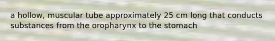 a hollow, muscular tube approximately 25 cm long that conducts substances from the oropharynx to the stomach