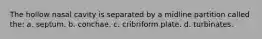 The hollow nasal cavity is separated by a midline partition called the: a. septum. b. conchae. c. cribriform plate. d. turbinates.