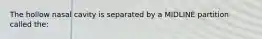 The hollow nasal cavity is separated by a MIDLINE partition called the: