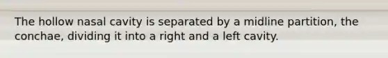 The hollow nasal cavity is separated by a midline partition, the conchae, dividing it into a right and a left cavity.