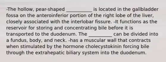 -The hollow, pear-shaped ___________ is located in the gallbladder fossa on the anteroinferior portion of the right lobe of the liver, closely associated with the interlobar fissure. -It functions as the reservoir for storing and concentrating bile before it is transported to the duodenum. The __________ can be divided into a fundus, body, and neck. -has a muscular wall that contracts when stimulated by the hormone cholecystokinin forcing bile through the extrahepatic biliary system into the duodenum.