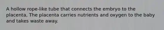 A hollow rope-like tube that connects the embryo to the placenta, The placenta carries nutrients and oxygen to the baby and takes waste away.