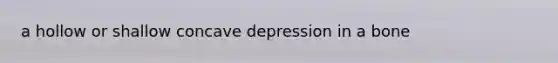 a hollow or shallow concave depression in a bone