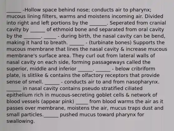 ______ -Hollow space behind nose; conducts air to pharynx; mucous lining filters, warms and moistens incoming air. Divided into right and left portions by the _______. Seperated from cranial cavity by ______ of ethmoid bone and separated from oral cavity by the _______. _____ - during birth, the nasal cavity can be bend, making it hard to breath. ______ - (turbinate bones) Supports the mucous membrane that lines the nasal cavity & increase mucous membrane's surface area. They curl out from lateral walls of nasal cavity on each side, forming passageways called the superior, middle and inferior ______. ______ - below cribriform plate, is slitlike & contains the olfactory receptors that provide sense of smell. ______ - conducts air to and from nasopharynx. ______ in nasal cavity contains pseudo stratified ciliated epithelium rich in mucous-secreting goblet cells & network of <a href='https://www.questionai.com/knowledge/kZJ3mNKN7P-blood-vessels' class='anchor-knowledge'>blood vessels</a> (appear pink) _____ from blood warms the air as it passes over membrane, moistens the air, mucus traps dust and small particles.______ pushed mucus toward pharynx for swallowing.