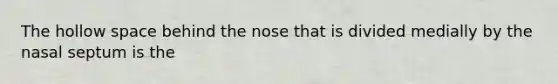 The hollow space behind the nose that is divided medially by the nasal septum is the