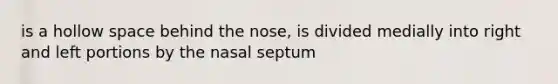 is a hollow space behind the nose, is divided medially into right and left portions by the nasal septum