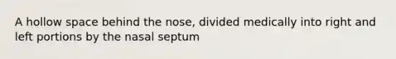 A hollow space behind the nose, divided medically into right and left portions by the nasal septum