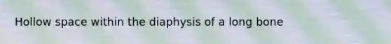 Hollow space within the diaphysis of a long bone