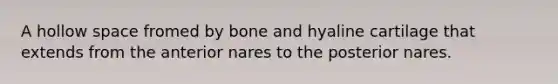 A hollow space fromed by bone and hyaline cartilage that extends from the anterior nares to the posterior nares.