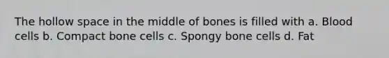 The hollow space in the middle of bones is filled with a. Blood cells b. Compact bone cells c. Spongy bone cells d. Fat