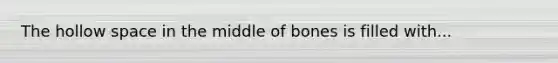 The hollow space in the middle of bones is filled with...