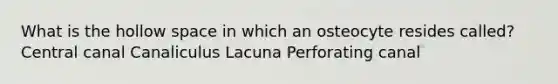 What is the hollow space in which an osteocyte resides called? Central canal Canaliculus Lacuna Perforating canal