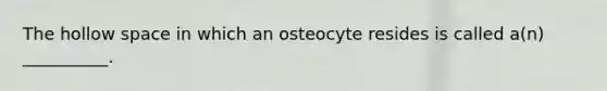 The hollow space in which an osteocyte resides is called a(n) __________.