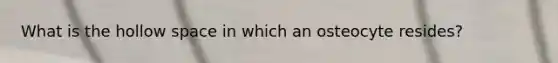 What is the hollow space in which an osteocyte resides?