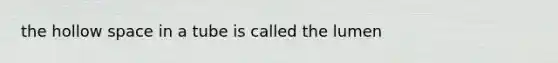 the hollow space in a tube is called the lumen