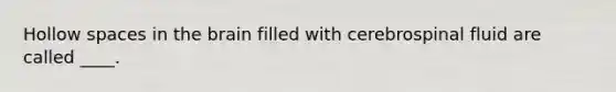 Hollow spaces in <a href='https://www.questionai.com/knowledge/kLMtJeqKp6-the-brain' class='anchor-knowledge'>the brain</a> filled with cerebrospinal fluid are called ____.