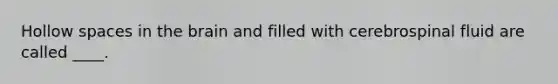 Hollow spaces in the brain and filled with cerebrospinal fluid are called ____.
