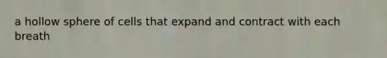 a hollow sphere of cells that expand and contract with each breath
