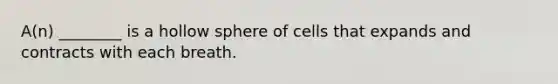 A(n) ________ is a hollow sphere of cells that expands and contracts with each breath.