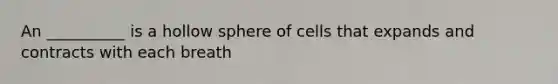 An __________ is a hollow sphere of cells that expands and contracts with each breath