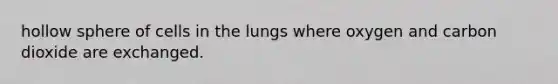 hollow sphere of cells in the lungs where oxygen and carbon dioxide are exchanged.