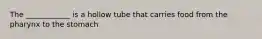 The ____________ is a hollow tube that carries food from the pharynx to the stomach