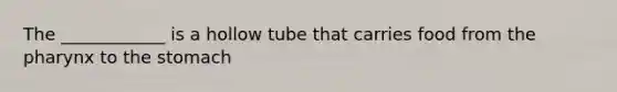 The ____________ is a hollow tube that carries food from the pharynx to the stomach