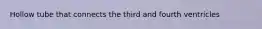 Hollow tube that connects the third and fourth ventricles