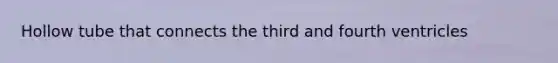 Hollow tube that connects the third and fourth ventricles