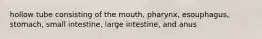 hollow tube consisting of the mouth, pharynx, esouphagus, stomach, small intestine, large intestine, and anus