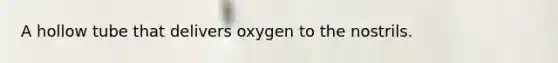 A hollow tube that delivers oxygen to the nostrils.