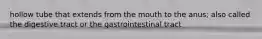 hollow tube that extends from the mouth to the anus; also called the digestive tract or the gastrointestinal tract