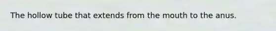 The hollow tube that extends from the mouth to the anus.