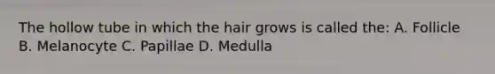 The hollow tube in which the hair grows is called the: A. Follicle B. Melanocyte C. Papillae D. Medulla